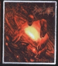 Angel Corpse - The Inexorable Aufn�her Druck