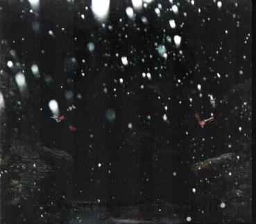 Immortal - Battles in The North (Alternative Artwork) Digi CD