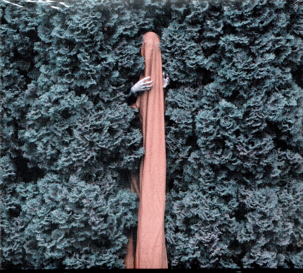 Vagrond - Ruin Digi CD